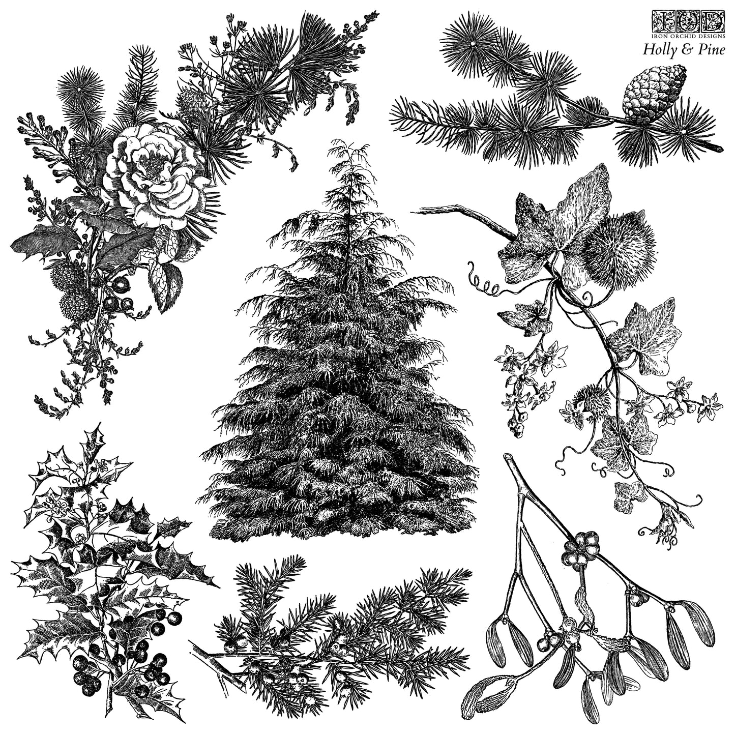 Stamp - Holly and Pine- 12x12