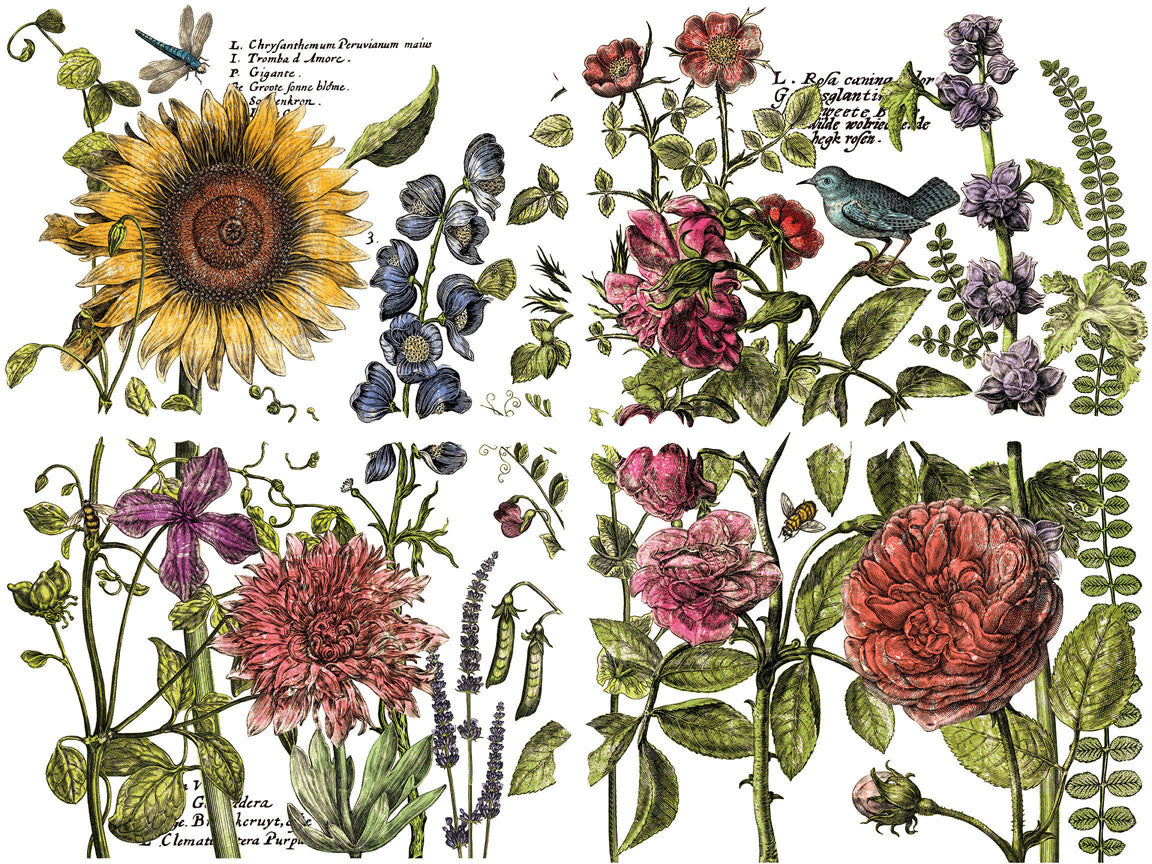 Transfer - Botanist's Journal 12x16 Pad