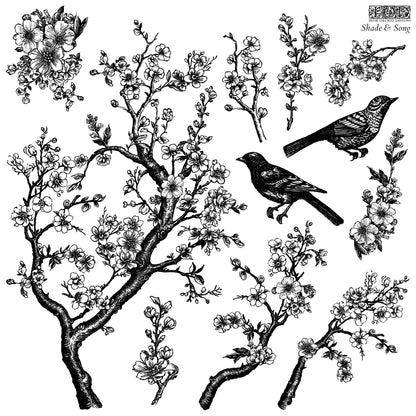 Stamp - Shade and Song - 12x12